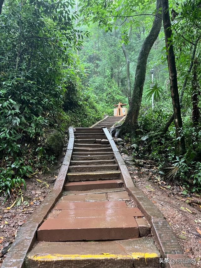 青城山，来过了，说几句