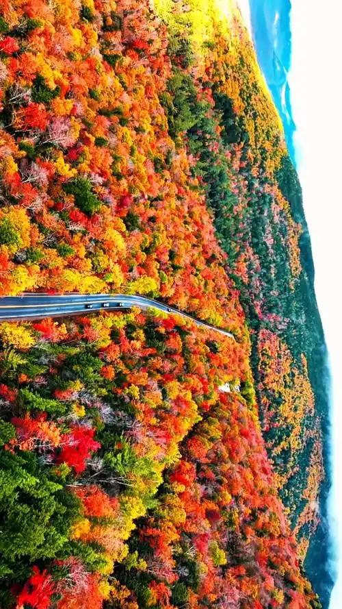 中国最美的20条秋景公路，我已走了11条，游完全部此生就无憾了
