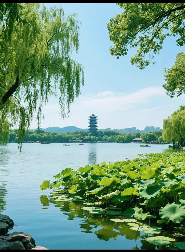 浙江，又一个仙侠世界。