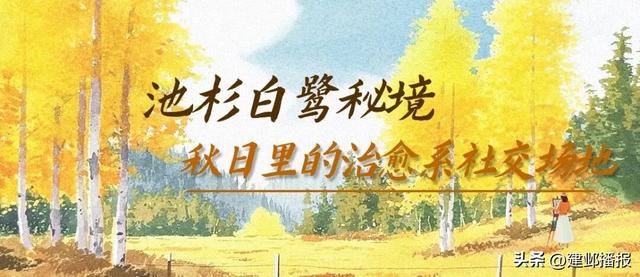 江 心 洲 秋 日 漫 游