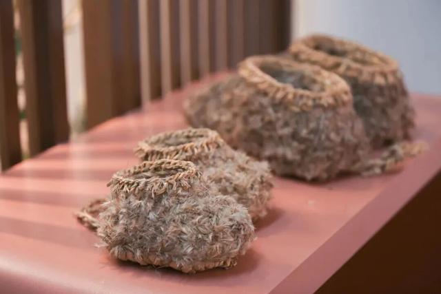 长江边，“飘雪”了！