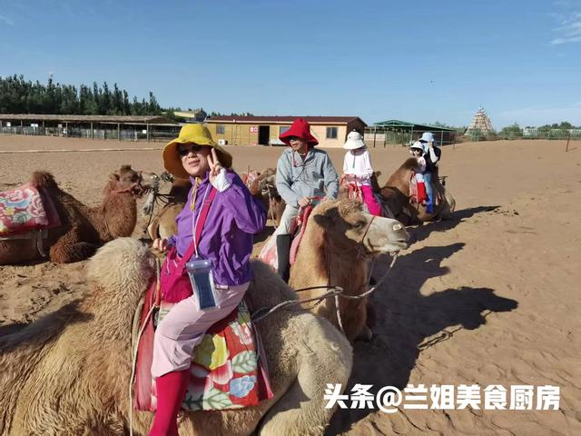 宁夏玩吃双爆攻略！黄河鲜一口沦陷，沙坡头项目嗨到腿软