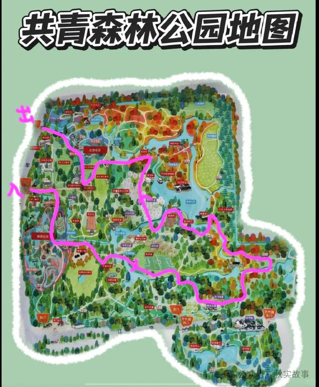 颜值巅峰的冬日秘境!上海共青森林公园,12月最值得去的免费公园