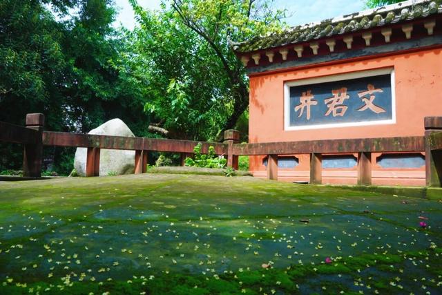 花漾邛州 | 秋意浓，满城桂雨润临邛