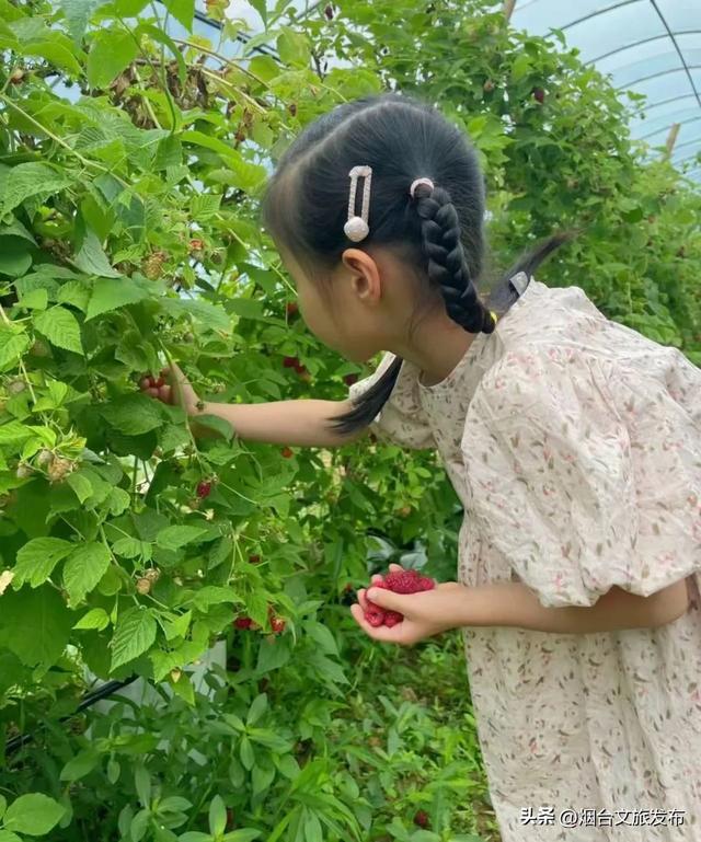 【乐游烟台】周末好去处丨免费拍逛玩！烟台新展太靓了
