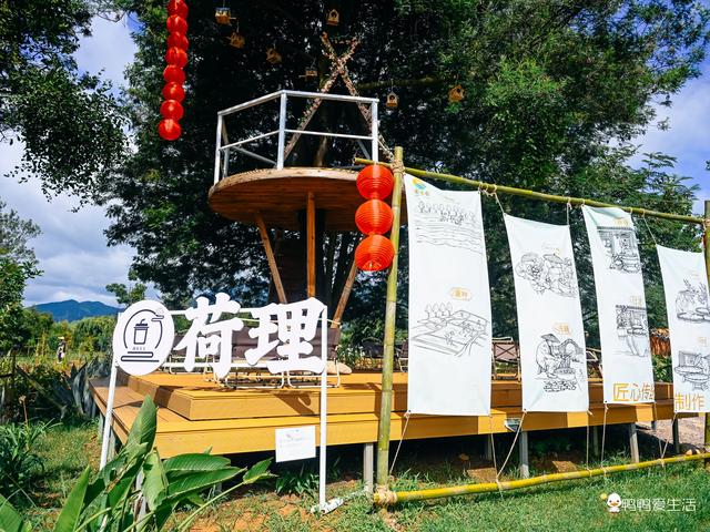 云南秘境|抚仙湖抚海湾公园，邂逅花与海的浪漫
