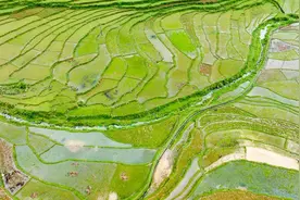 百色的旅游攻略图片