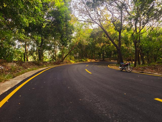 塘朗山郊野公园火车道口与绿平二路段，爬坡酸爽，骑友的天堂