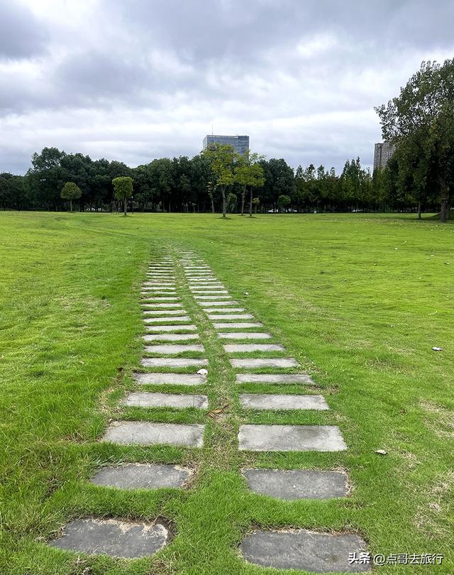 成都公园难得一见的旷野之景，画面超级唯美，地铁公交到达！