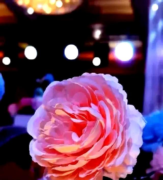 北京下了死命令，2027年底前	，所有中小学必须告别校外配餐