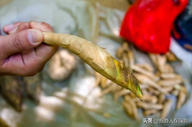 惠州香溪古堡徒步，13 公里解锁水泥与土路的奇妙，藏着多少惊喜