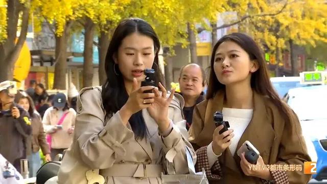 全网刷屏！银杏浓度已达100%！近期昆明这条街“杀疯”了