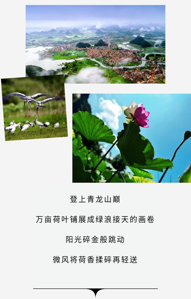 八月｜是夏天最后的浪漫请柬