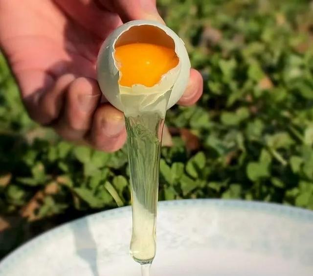 秦岭深处，邂逅两当清凉之境