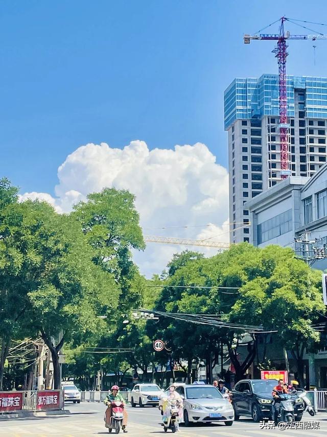 救命！临洮的夏天也太治愈了吧～