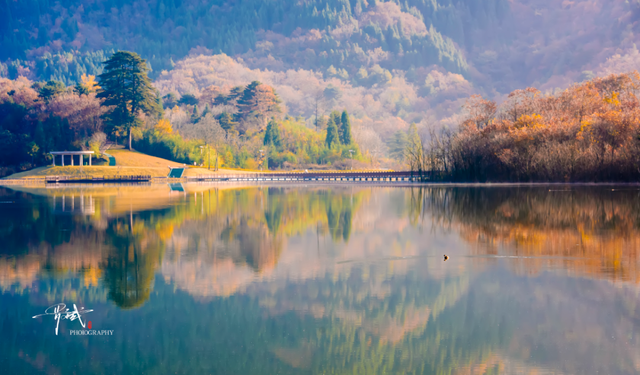 来广元月坝，解锁一场“多巴胺”初冬