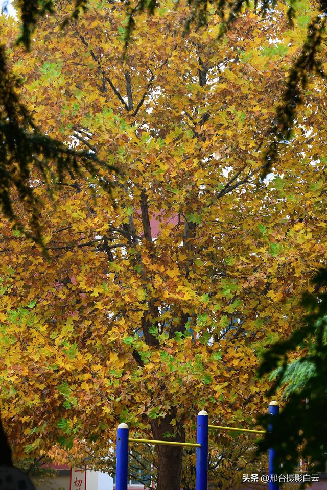 达活泉，这才是秋天该有的样子（图）