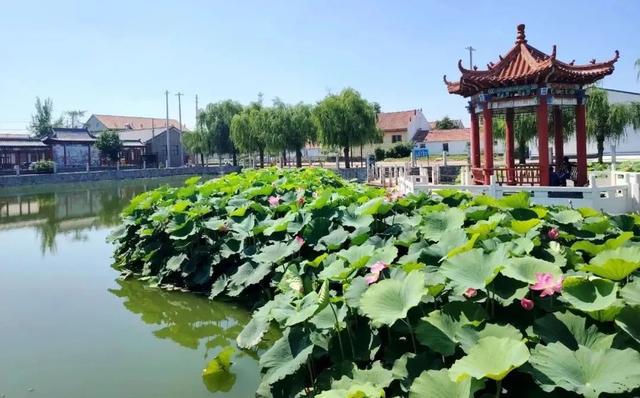 City walk！坊子 “荷”你相约～