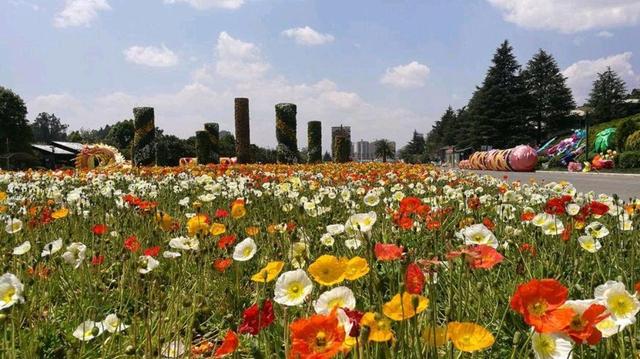 云南唯一的“特大城市”，面积比北京、成都大，人口超过800万