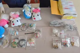 吓死个人！申报为玩具、护身符实则是人骨玩具，被海关查出来了图片