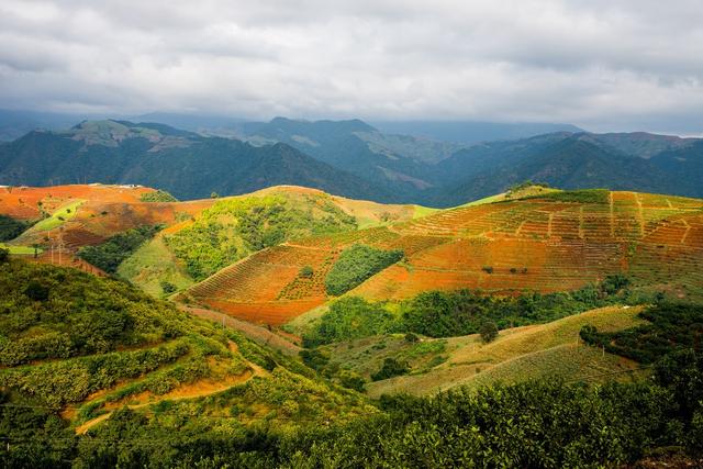 散文 | 梁 平：遥远的哀牢山