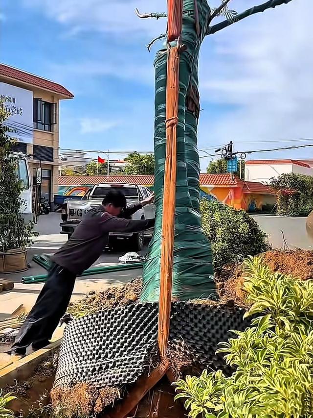 全红婵爸爸真风光，店门口立“冠军广场”标牌，成游客第一打卡区