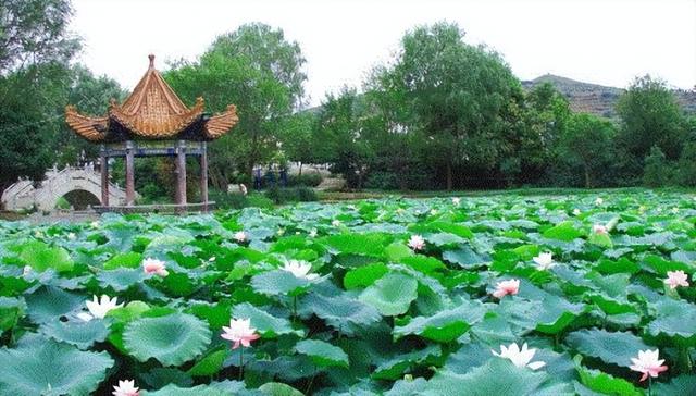 地名里的重庆 | 走进荣昌峰高街道的慢时光太治愈