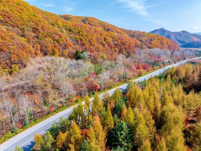 收藏！国内秋天自驾6条最美公路，景美人少又小众，错过再等一年