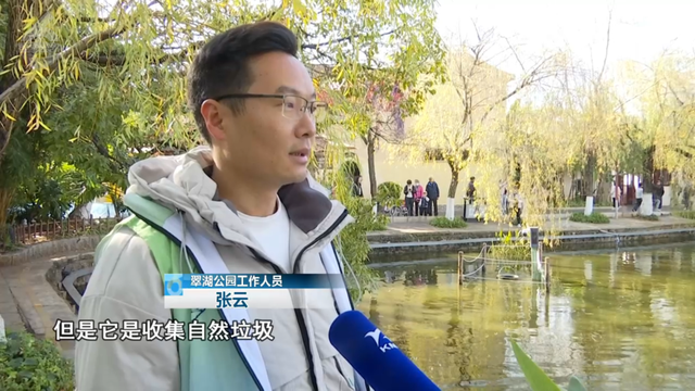 10人路过，9人停下猜！翠湖里的这些桶在干嘛？