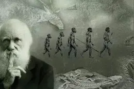 深度长文：人类不会凭空出现，地球上第一个人是如何诞生的？图片