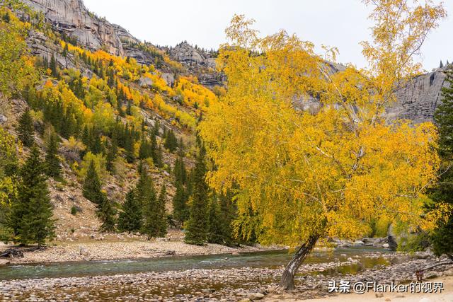 我的阿勒泰之旅（4） 可可托海