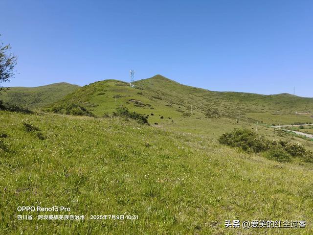 我的旅行日记——红军过草地纪念碑 ，红原上的永恒丰碑