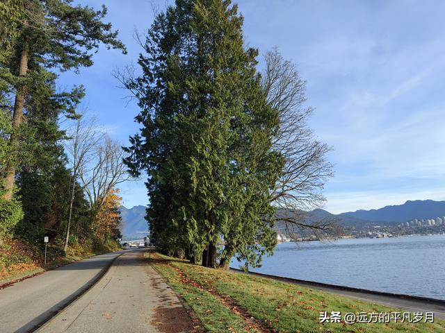 温哥华游记（四）