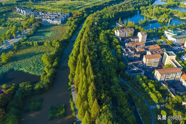 荆州的西门静悄悄,大树掩映着古城墙,郁郁葱葱更显冷清