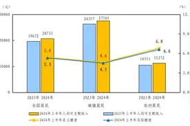 【数据发布】2024年上半年居民收入和消费支出情况图片