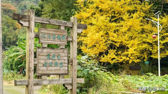 悦·遵义丨是心动呀！遵义，你这么好看！