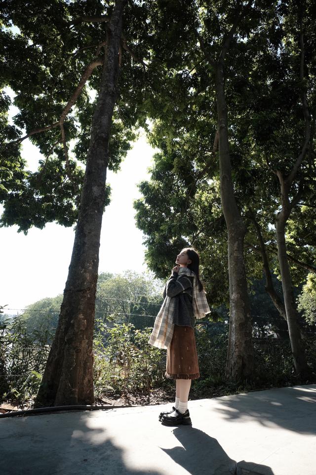 入门挂机镜头首选！富士龙XC13-33mm F3.5-6.3 OIS上手评测