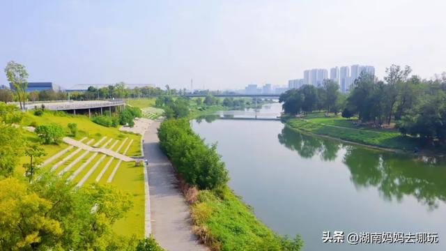 1小时直达！长沙藏了片“狗尾巴草秘境”，免费露营+玩水，人少景美，错过等一年！