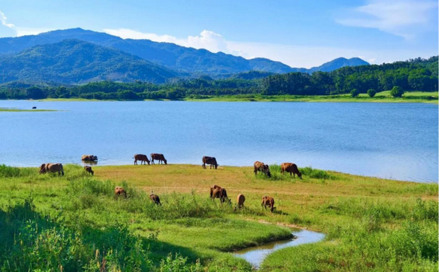 海口经济圈 | 开启国风奇遇之旅！2025年华服盛典旗袍风采12月在屯昌启幕