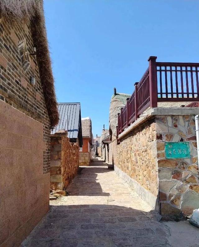 山东荣成：天鹅与海鸥齐飞，这座低调滨海城，藏着北纬37°的浪漫