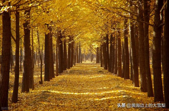 邯郸各辖区名称由来及历史沿革简要