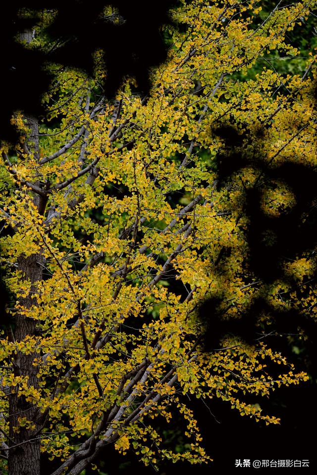 达活泉，这才是秋天该有的样子（图）