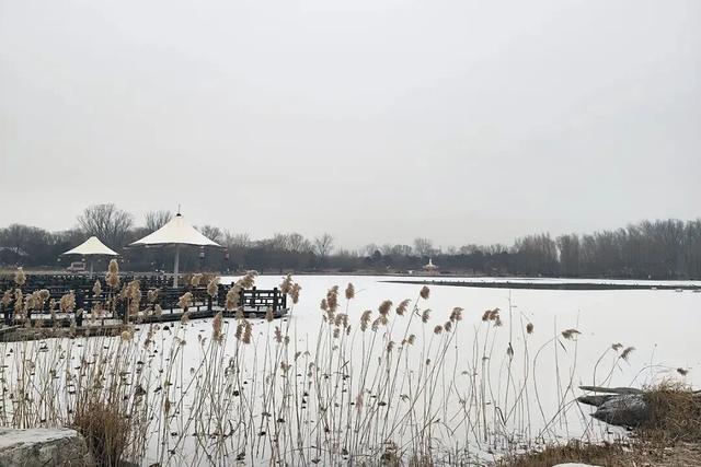 琼花碎玉间，顺义的冬日诗行——