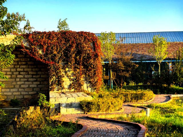 初冬氛围感天花板已找到，枫景这边独好！