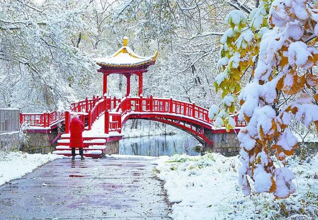 镜头抵严寒，定格呼伦贝尔冬日极致风光