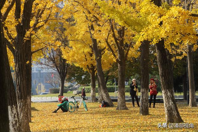 无锡吴都路，金色的世界