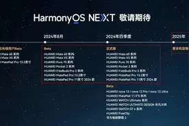 500元的麒麟990 5G手机，能升鸿蒙5.0，不怕掉基带图片