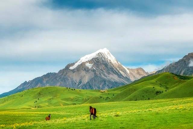 震惊！北京心理专家门诊发现：90%的人病根竞是“想太多”！