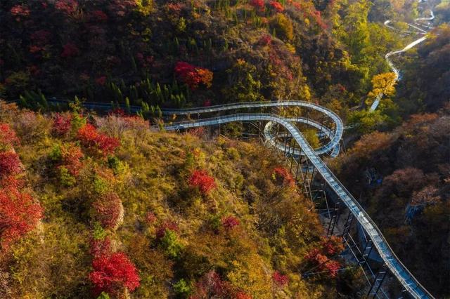 红了！淄博绝美红叶季来袭，一景区免费！天晴就出发→