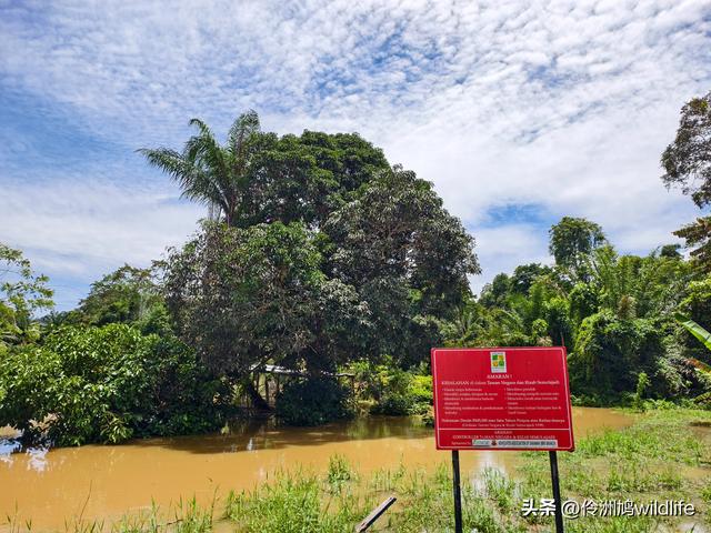 马来西亚(32)砂拉越州⑥世界遗产尼亚洞窟探险